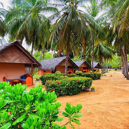 Roshanne Beach Resort Kalpitiya Eksteriør billede