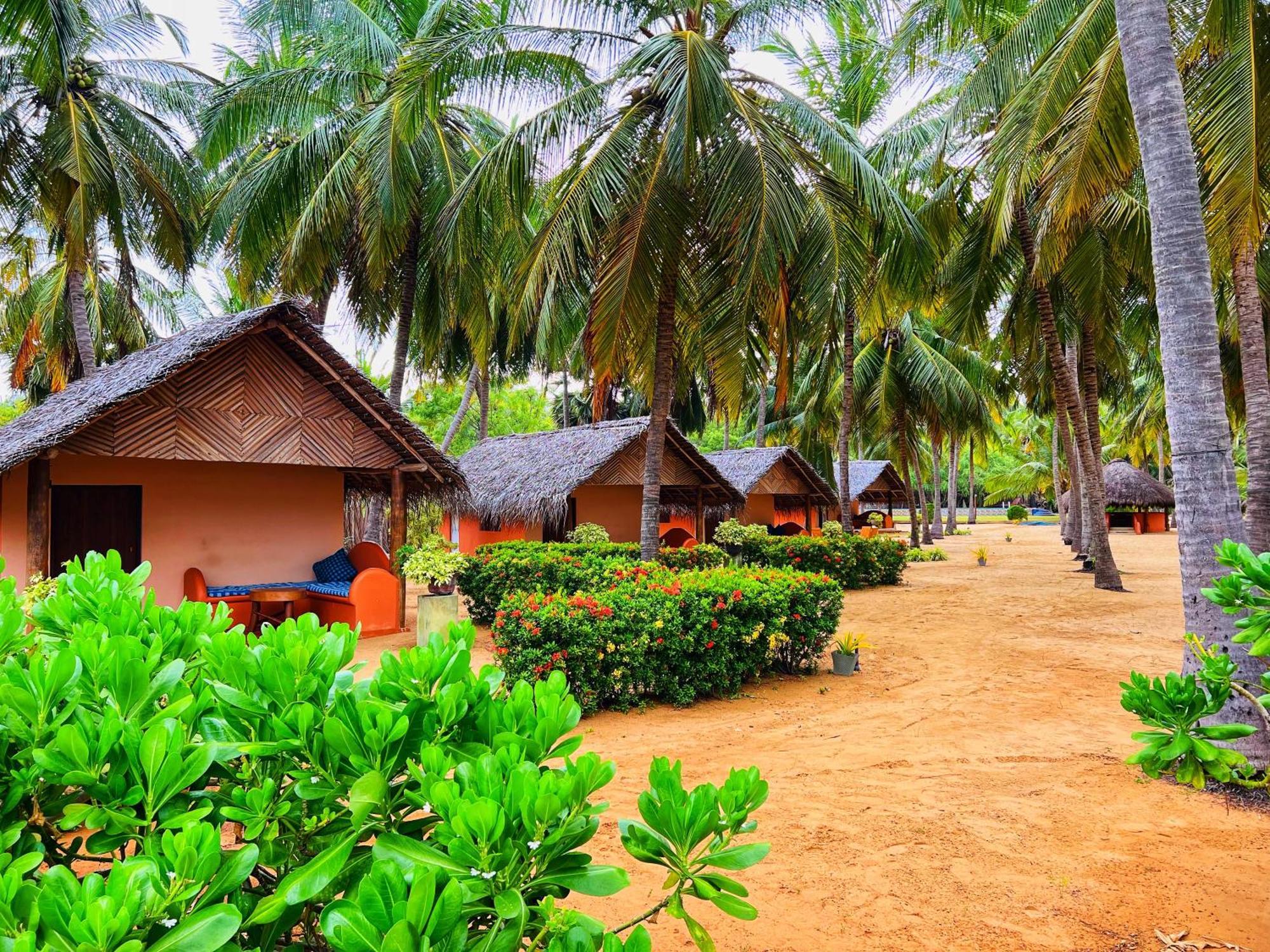 Roshanne Beach Resort Kalpitiya Eksteriør billede