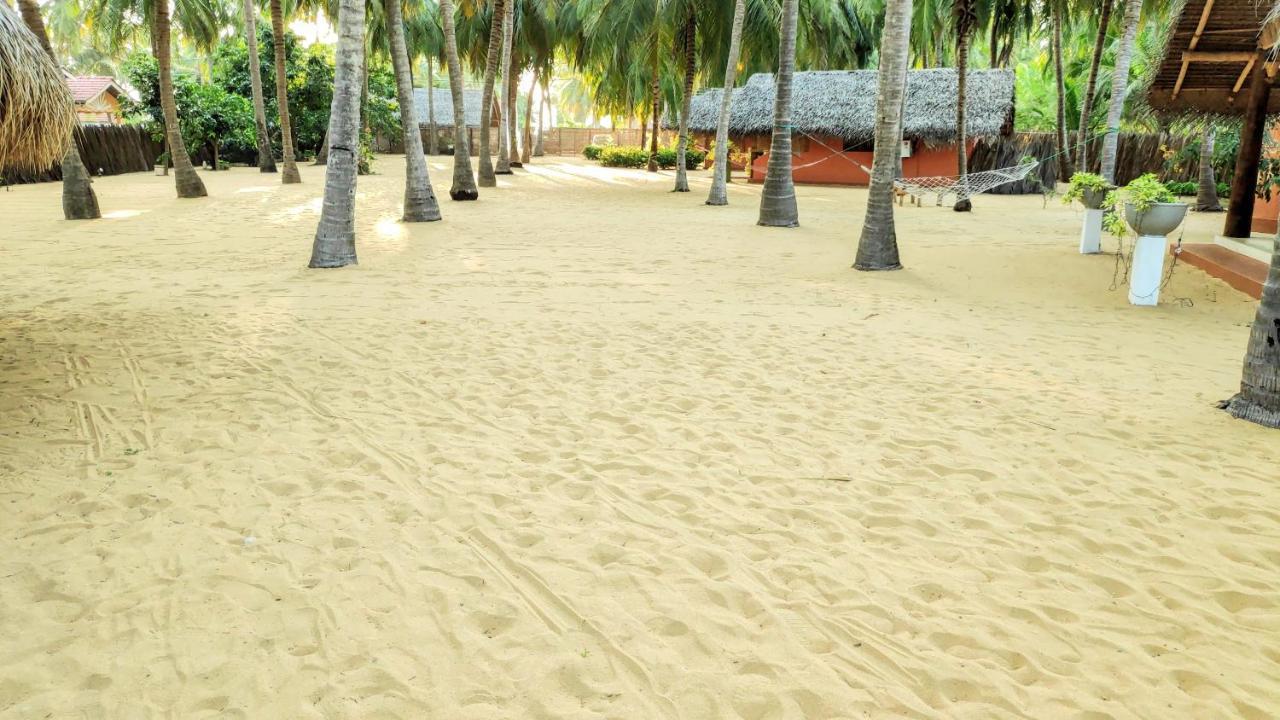 Roshanne Beach Resort Kalpitiya Eksteriør billede
