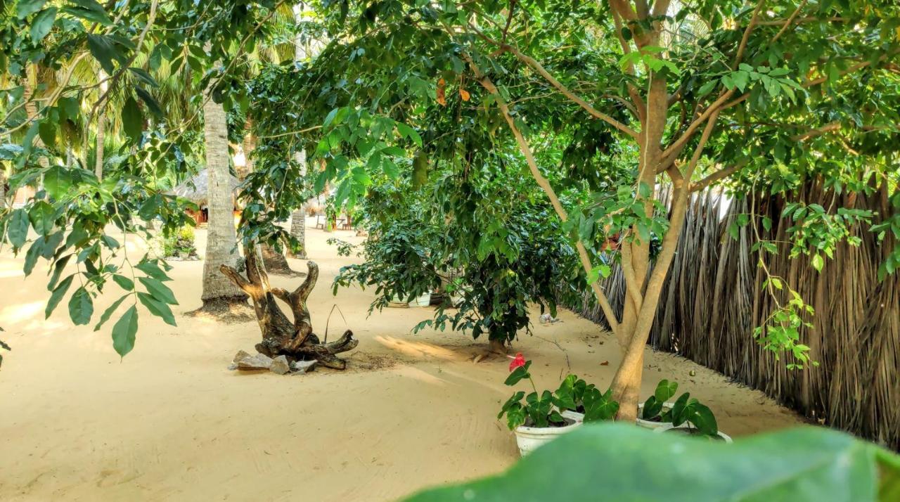 Roshanne Beach Resort Kalpitiya Eksteriør billede