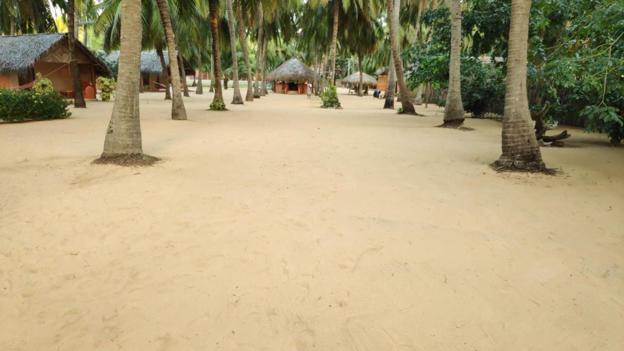 Roshanne Beach Resort Kalpitiya Eksteriør billede