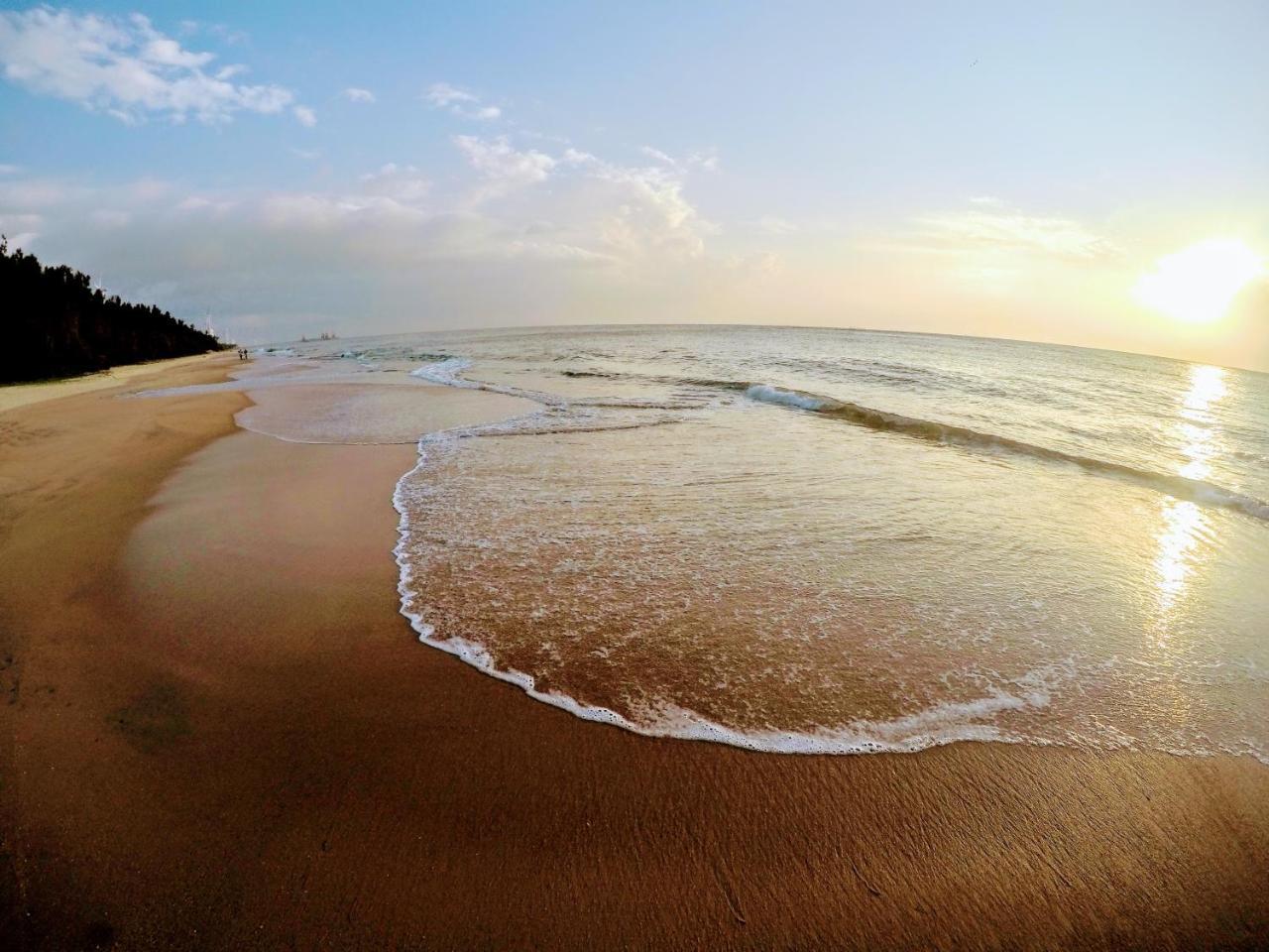 Roshanne Beach Resort Kalpitiya Eksteriør billede