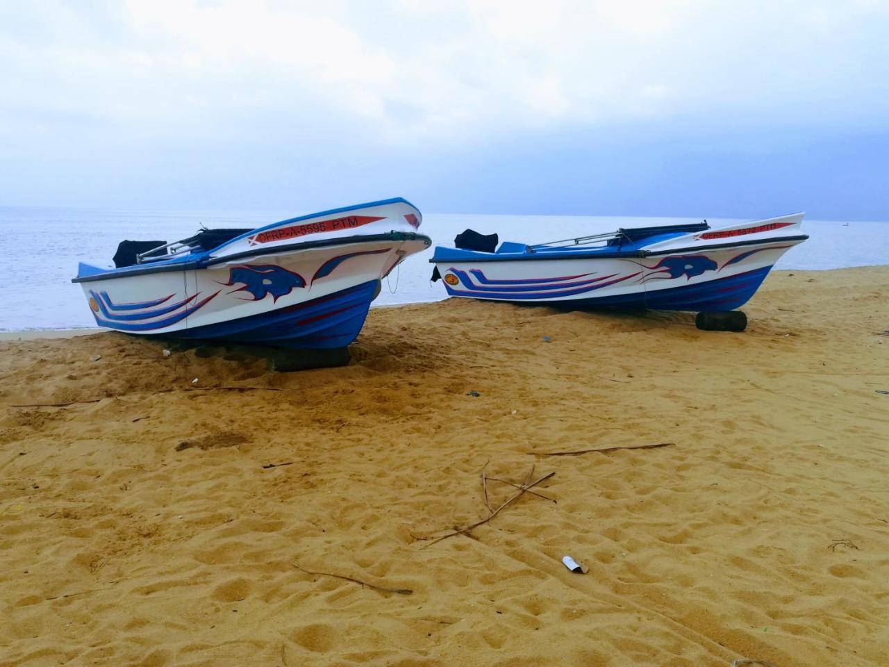 Roshanne Beach Resort Kalpitiya Eksteriør billede