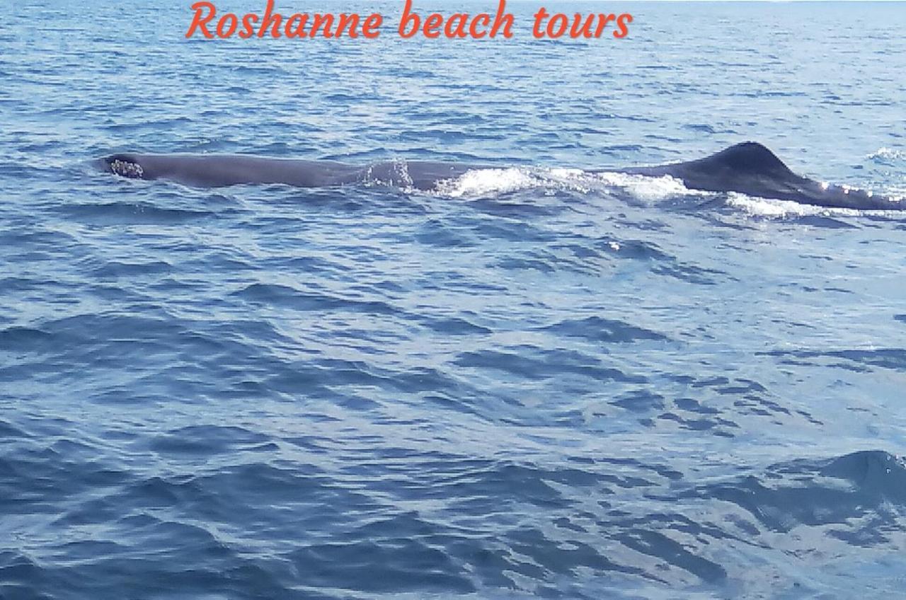 Roshanne Beach Resort Kalpitiya Eksteriør billede